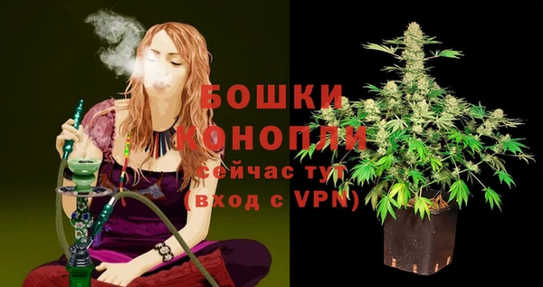 хмурый Бородино